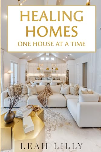 Healing Homes One House A Time: Interior Designer book