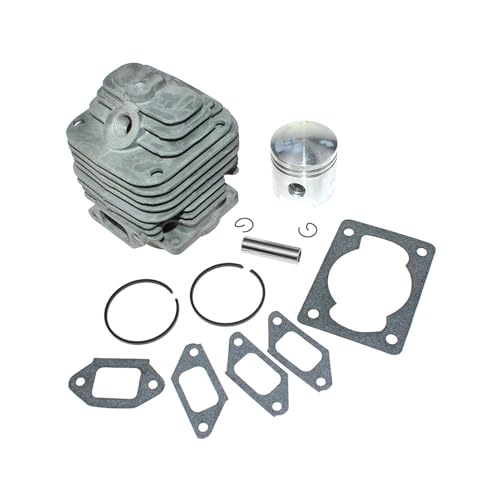 Kit piston de cylindre OEM 423 pour rénover votre atomiseur et pulvérisateur