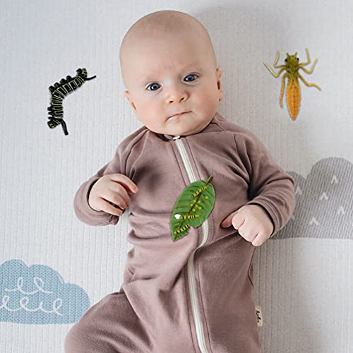 TOYANDONA Conjuntos Borboleta Libélula 2 Animal Vida Ciclo de Crescimento Biológico Modelo Brinquedo