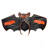 Cometa EASY FLY para niños, adultos y principiantes que nunca antes volaron cometas.