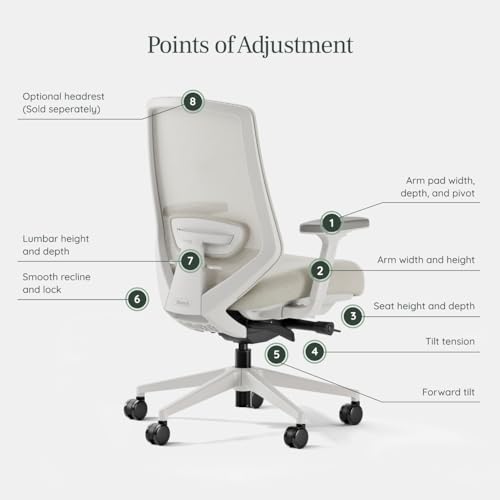 branch ergonomic chair pro