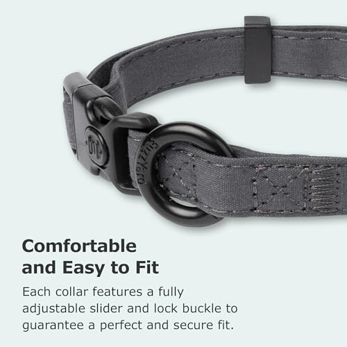 Collier grand chien gris pour balades et éducation active