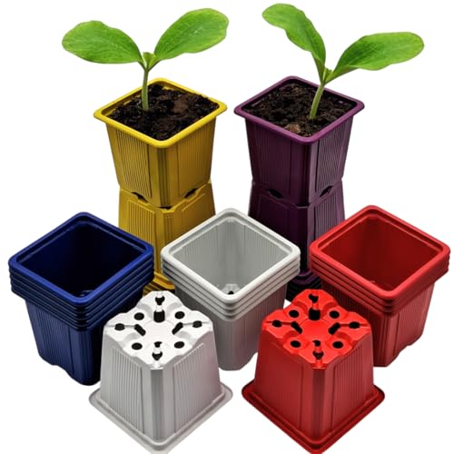 Verdonia 40 Godets Plastique de 5 Couleurs 8cm pour Semis, Repiquage, Bouturage - Coloris Différentes : 8 Bleu + 8 Blanc + 8 Rouge + 8 Jaune + 8 Violet -...