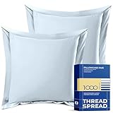 THREAD SPREAD 100% Egyptian Cotton Sheets Queen Size - 1500 Thread Count 4 PC Queen Sheet Set Egyptian Cotton, Sateen Weave Luxury Sheets, 17' Deep Pocket - Sky Blue