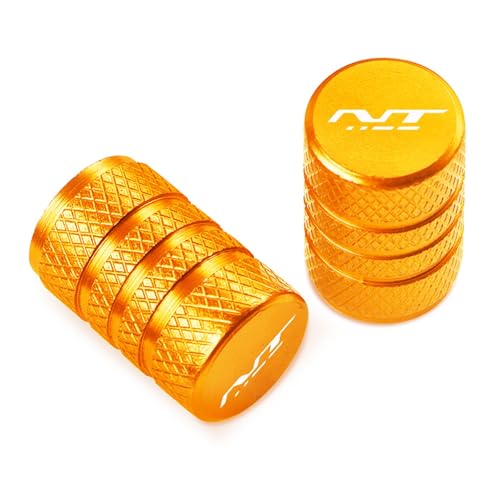 Bouchons de valve pneu moto pour éviter la perte de pression sur NT1100
