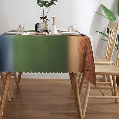 Nappe rectangulaire de baseball imperméable 137x183 cm lavable pour décoration table