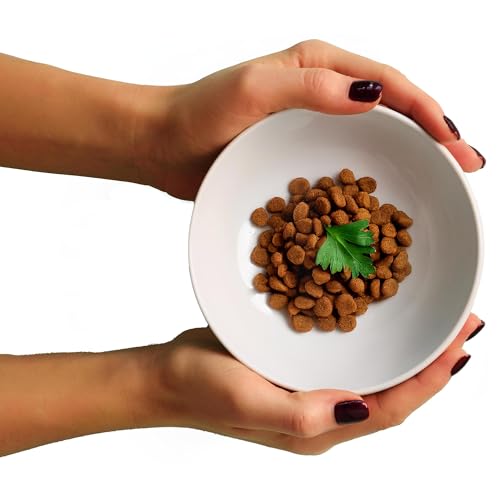 DRAIAX ElegantFeed M Bowl Hundenapf aus Keramik – Napf außen Matt innen glänzend Fressnapf für Hunde – Futternapf in weiß