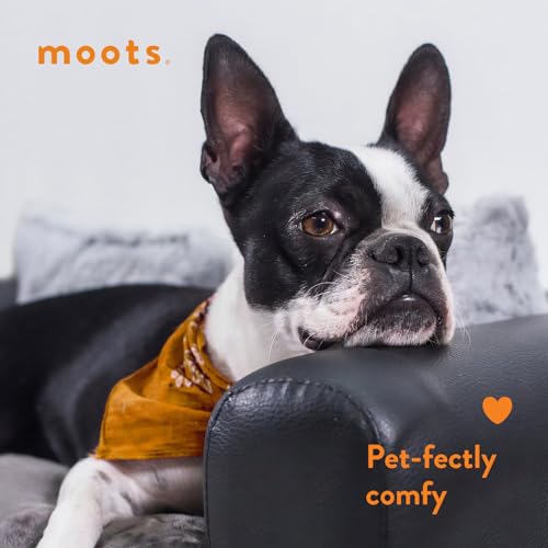 Moots Sofá premium para animais de estimação preto/carvão grande