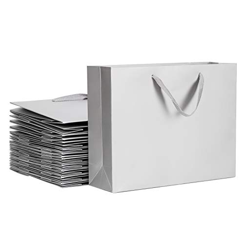 Paper Bags with Handles, EUSOAR 12.5x4.5x11.0" 20pcs Handled Paper Bags, Grey Sturdy Kraft Bags, Merchandise Package Bags, Gift Package Bags, Craft Bags, Welcome Party Present Bags