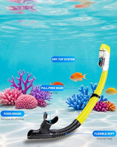Snorkeling Gear for Adults, Dry Snorkel Mask Set, Scuba Diving Snorkle mask Set Adult, Panoramic Wide View Anti-Fog Dive mask, Swimming Diving Snorkeling Packages (Yellow)