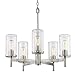 Golden Lighting 7011-5 PW-CLR Winslett Chandelier, Pewter
