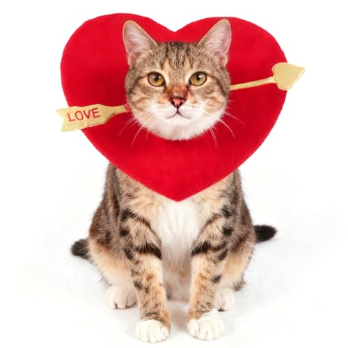 Disfraz para perro corazón rojo grande ajustable miniatura 2