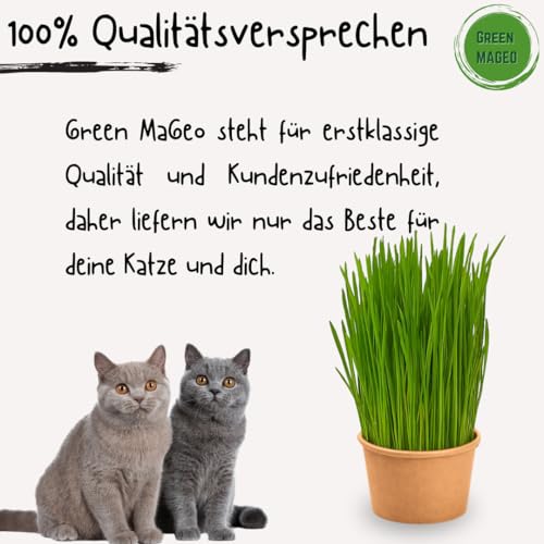 Green MaGeo 5er Set Katzengras Samen - Gras Anzuchtset für Katzen - Gras zum Fressen für die Katze - 5X Katzengrassamen Set - Katzengras für Balkon und Wohnung