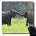 Produktbild Luancrop Mousepads Elefanten der wild lebenden Tiere Nationalpark Sri Safari Lanka Elefant-Natur-Waisenhaus-längliches Spiel Mousepad rutschfeste Gummimatte