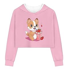 Strawberry Corgi Dog