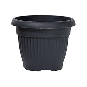 Prosper Plast Terra bloempot, 40 x 31,5 cm, antraciet, 40x40x31,5 cm