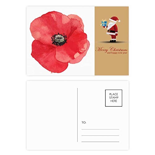 Cartes postales fleurs rouges coquelicots de maïs lot de 20 correspondance correspondance nature