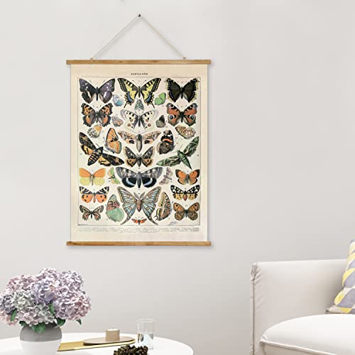 Vintage Butterfly Poster Hanger Frame, Retro Style Wall Decor Art Painting, Patterns Are Printed On Canvas Without Fading, Living Room Office Classroom Bedroom Apartment Decor,Educational Chart #TOP5