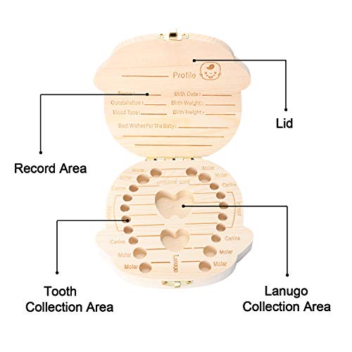 Baby Tand Save Box, Kids Tooth Keepsake Box, Houten Keepsake Organizer voor Baby Tanden, Leuke Kinderen Tandencontainer met Pincet en Lanugo Fles om het Childhood Memory door DesignerBox (Boy) te bewaren - Image 4