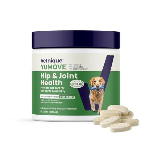 Hip and Joint Support for Adult Dogs