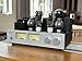 OldChen 845-A 300B Tube Amp Hi-Fi Single-Ended Class A Integrated Tube Amplifier & Power Amp Tubes:PSVANE CV181-SE×2,PSVANE 300B-SEN×2,PSVANE 845SEC×2 (FedEx 7-10Days)