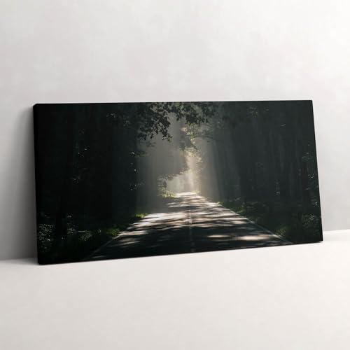 Image sur Toile Route forestière et rayons de soleil Wallfluent