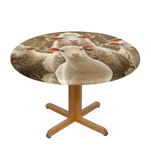 Nappe ronde imperméable résistante taches table 101-127 cm - 2