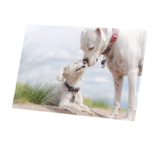 Toile imprimée chien Dogue Argentin déco murale chambre