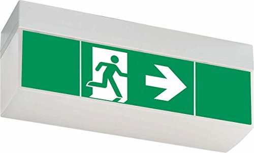 Éclairage de secours LED haut de gamme pour fixation murale et plafond - 2