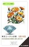 東京ニーチェの暦綴り 5月16日: 大切な自分の時間に寄り添う本