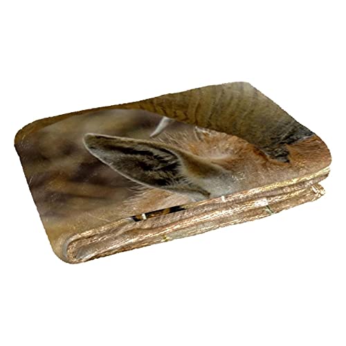 Couverture douce et chaude avec imprimé Capricorne pour camping, plage et lit