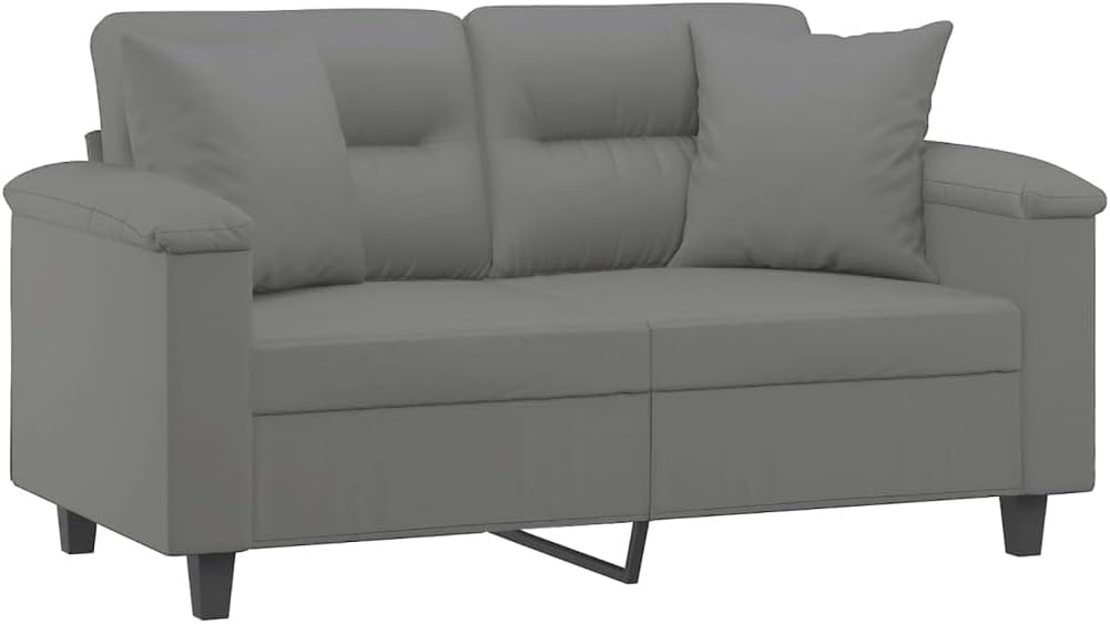 2-Seater Sofa Dark Grey Living Room Furniture