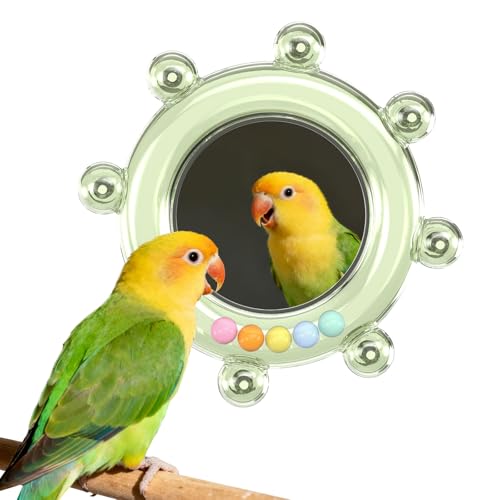 BAGHPBM Bird Mirror Toys for Cage Parakeet Rotating Sound Wheel Toy Budgie Training Colorful Interactive Chew Toys for Canaries Lovebirds Conures Cockatiels cage Accessories (1 Green)