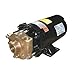 Dayton 2ZWR8 Pump, Centrifugal, 3/4 HP, 3 Ph, 230/460V