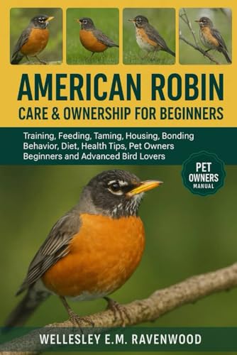 American Robin: training feeding taming housing bonding behavior diet health tips pet owners beginners and advanced bird lovers