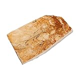 Spécimen de poisson à visée pédagogique : fabriqué avec des matériaux de qualité, il sera précieusement conservé pendant des générations