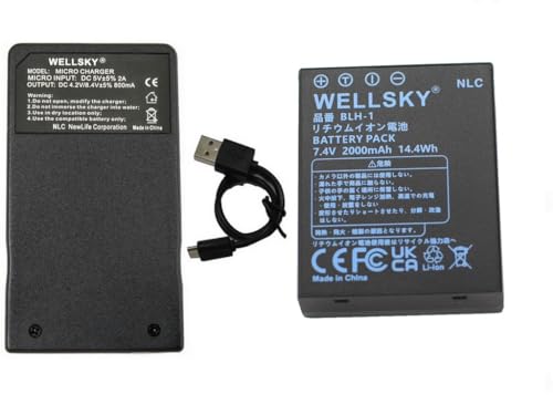 OLYMPUS E-1 レンズ2本 バッテリー 充電器 CFカードセット 41vv9ISAExL.jpg