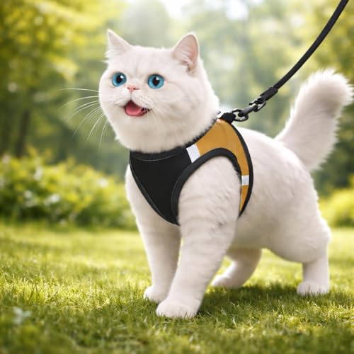 Image of Berlin's Cat Harness with Leash for Outdoor, Walking, Escape Proof, Air Mesh Fabric, Easy Control, Adjustable & Durable Cat Leash with Harness for Cats (Black-Golden, Large)
