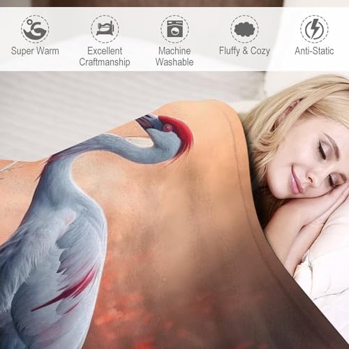 Couverture super douce grue 3D pour des soirées cocooning au salon