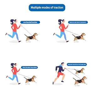 Striped Puppy Dog Leash Personalize Double Leash for Two Dogs for Dog Training Easy Cute Hands Free Leash Dog Leash for Small Dogs Leash for Medium Dogs (orange, S(150CM)) Striped Puppy Dog Leash Personalize Double Leash for Two Dogs for Dog Training Easy Cute Hands Free Leash Dog Leash for Small Dogs Leash for Medium Dogs (orange, S(150CM))