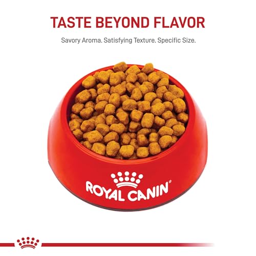 ROYAL CANIN Shih Tzu Adult Dry Dog Food, 2.5 lb Bag - Image 4