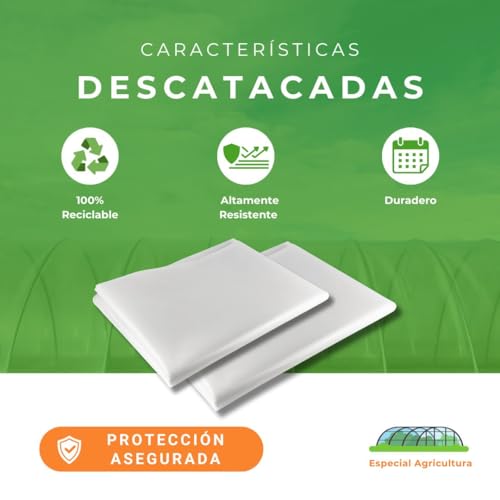 MODO AGRO Gewächshausfolie Landwirtschaft 800 Gauge 200 Mikron. Spezieller Kunststoff für Landwirtschaft und Pflanzenschutz Ideal für Gewächshäuser Gemüsegärten und Gärten (2X10)