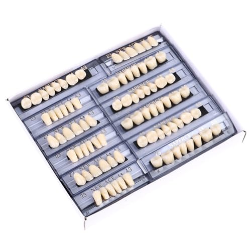 Bzvshdgee ` ꎕ ͌^Lbg 168 ȍޗ ` Ȉ {c[ t}EXtFCNZbg