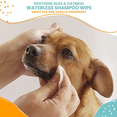 Nootiewaterlessshampoowipesfordogscatslonglastingsweetpeavanillafragrancesoldinover10000vetclinicsandpetstoresworldwidemadeinusa70count  Urban Country Home Decor Nootie waterless shampoo wipes for dogs cats long lasting sweet pea vanilla fragrance sold in over 10000 vet clinics and pet stores worldwide made in usa 70 count  urban country home decor