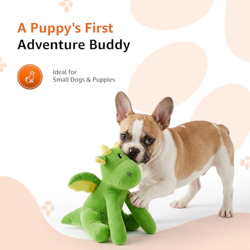 Image of Amazon Basics Green Bubble Dragon Squeaky Plush Dog Toy | Crinkle & Squeak Sound | Soft Cotton Stuffed | for Teething & Training | Ideal for Puppies & Small Dogs