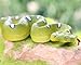 Gemini&Genius Green Snake Animal Action Figure Toys for Kids 8'' Length Realistic Fake Snakes Toy Figurines Great Hand Painted Scarey Prank Toy Gifts for Kids Boys