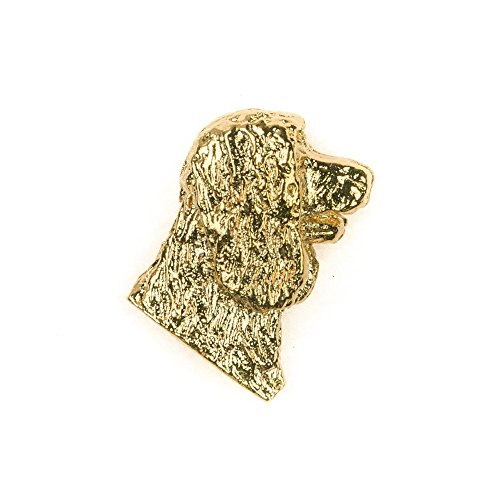 Épagneul d'Eau Irlandais broche plaquée or 22 carats d'art britannique
