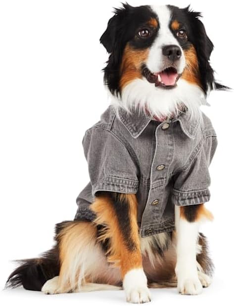 Reddy by Petco Denim Jacket for Dogs Grey Large