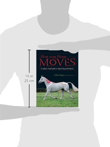 How Your Horse Moves: A Unique Visual Guide to Improving Performance - Image 3