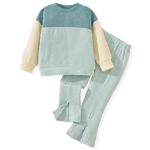 HINTINA Toddler Girl Long Sleeve Outfits Color Block Top Slit Pant Set